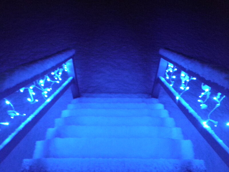 Carpeted Stairs with Lights