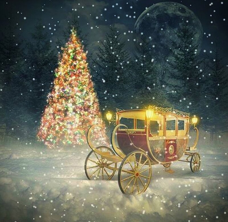Carriage in Snow