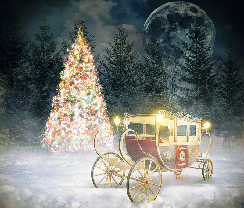 Carriage in Snow — White