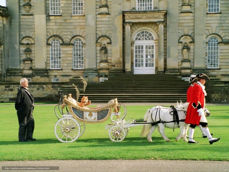 Carriage with cat in front of palace