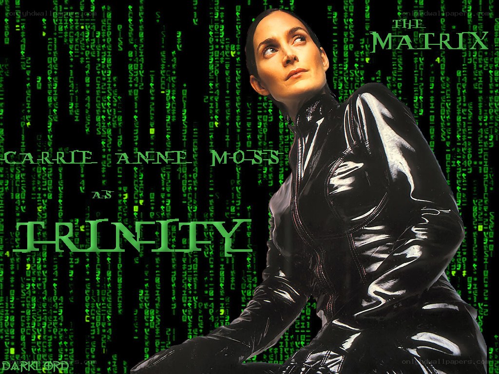 Carrie-Anne Moss as Trinity
