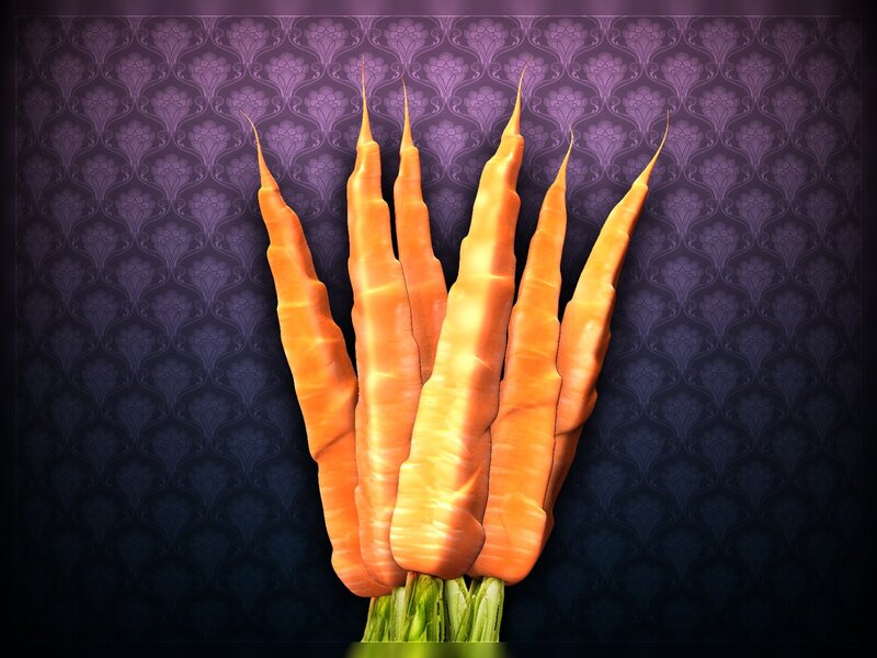 carrot fingers on patterned background