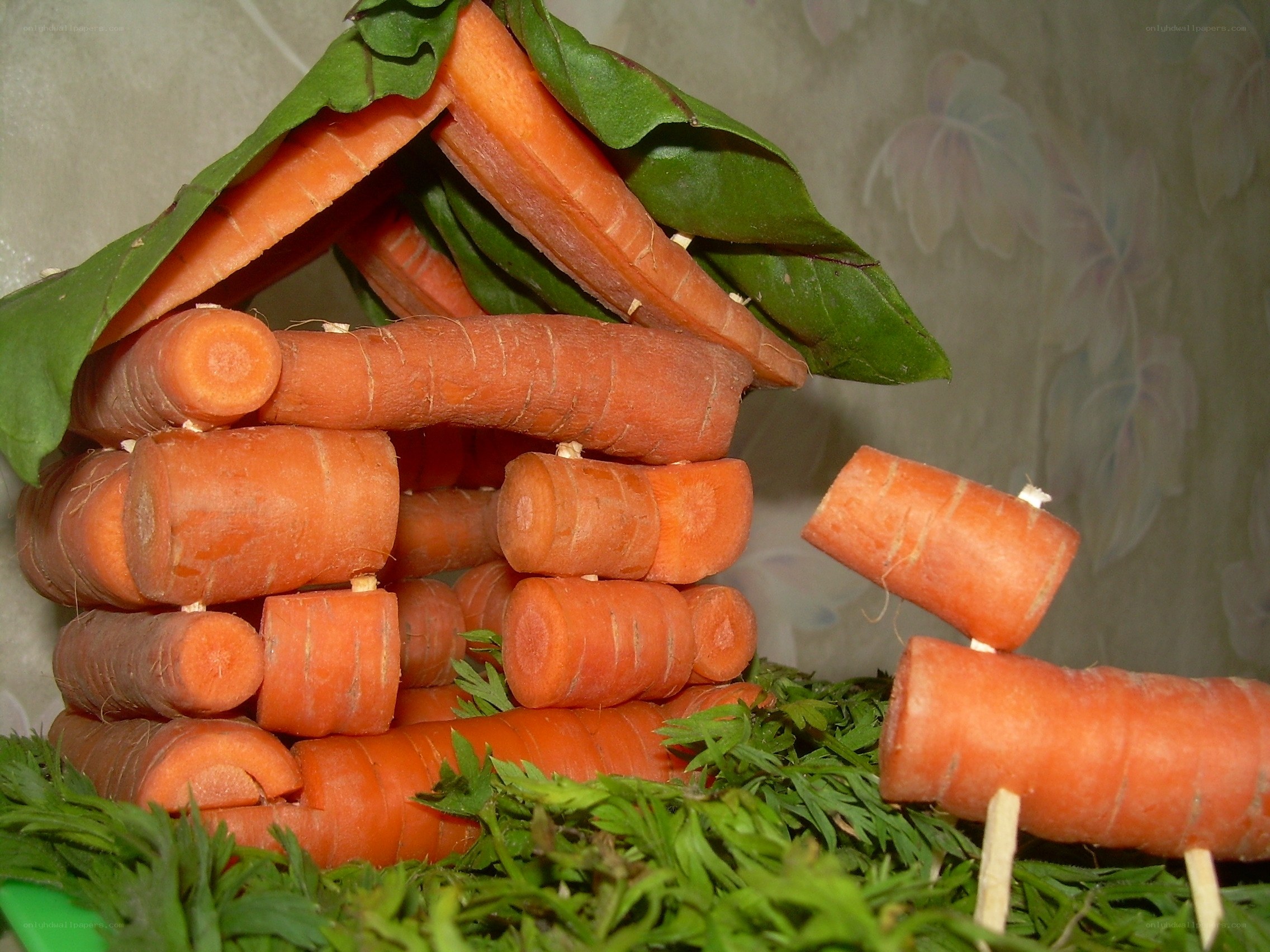 Carrot house sculpture