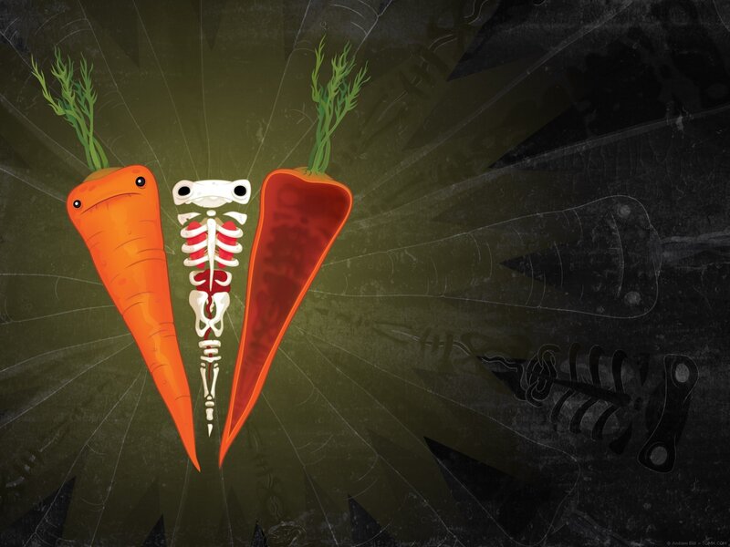 Carrot skeleton illustration