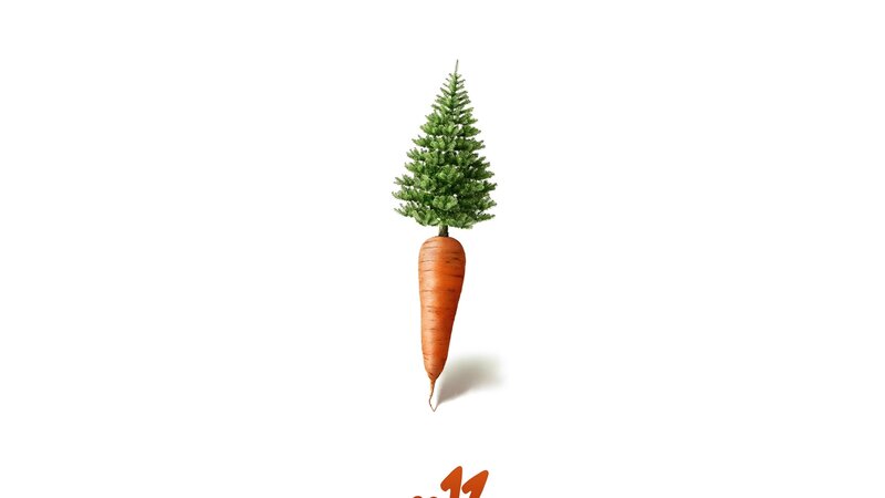 carrot with tree top