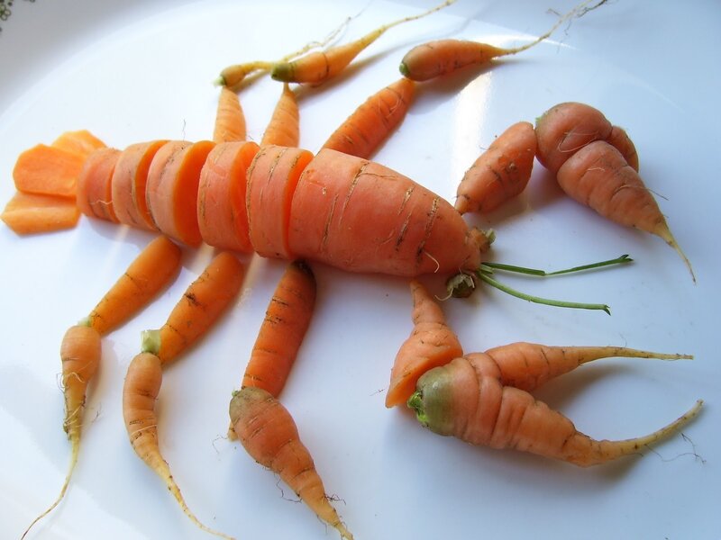 Carrots Arranged as Lobster