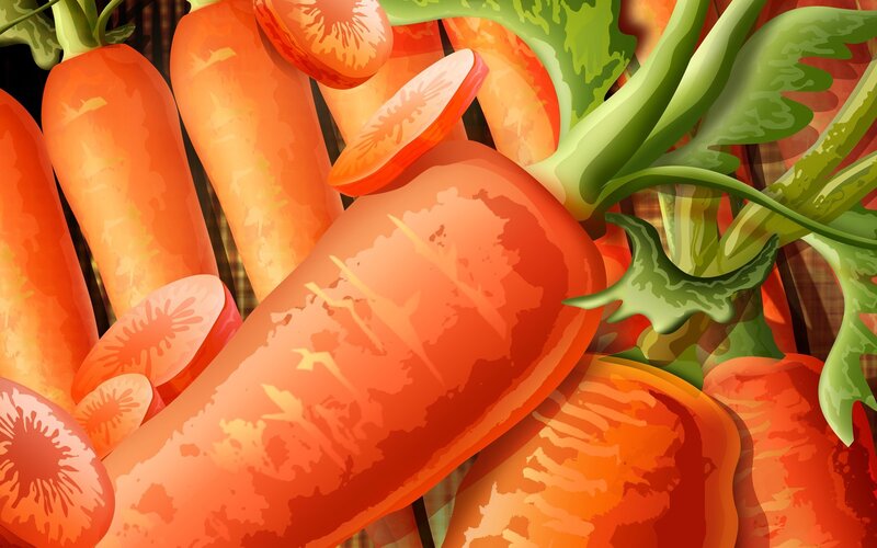 Carrots in a Basket