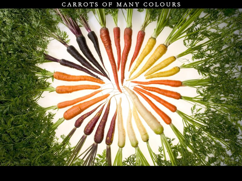 Carrots of Many Colours