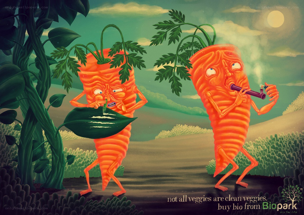 carrots using drugs in field