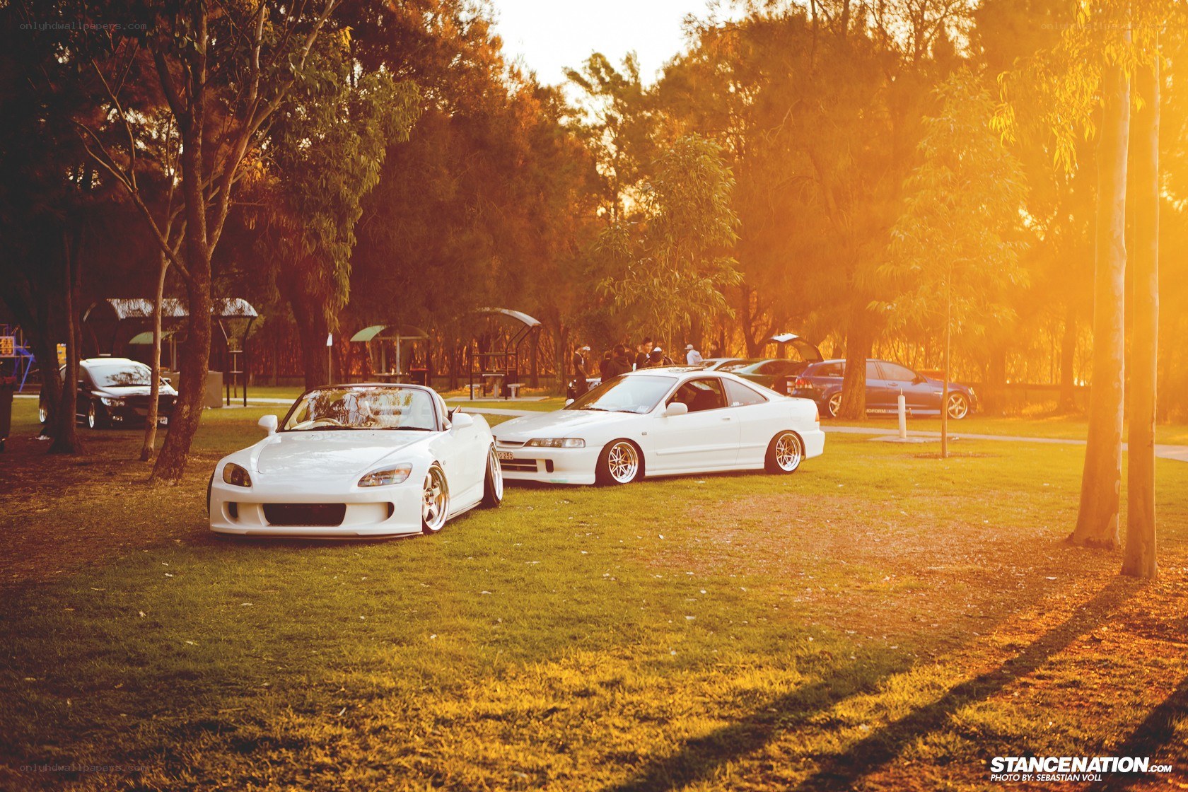 Cars at a park sunset