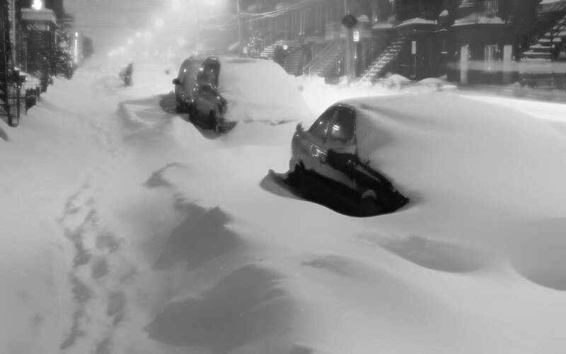 Cars Buried in Snow — Black