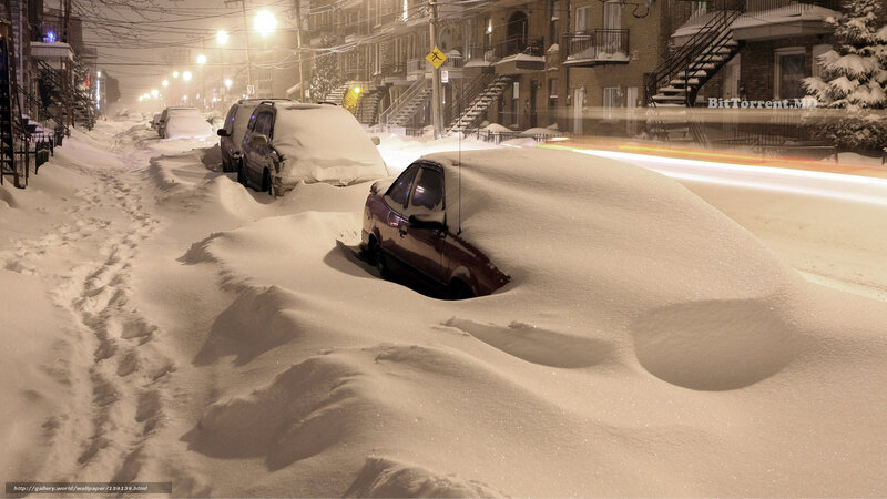 Cars Buried in Snow — White, Cold