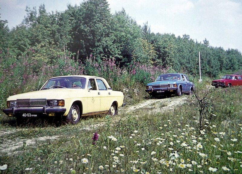 Cars in a field