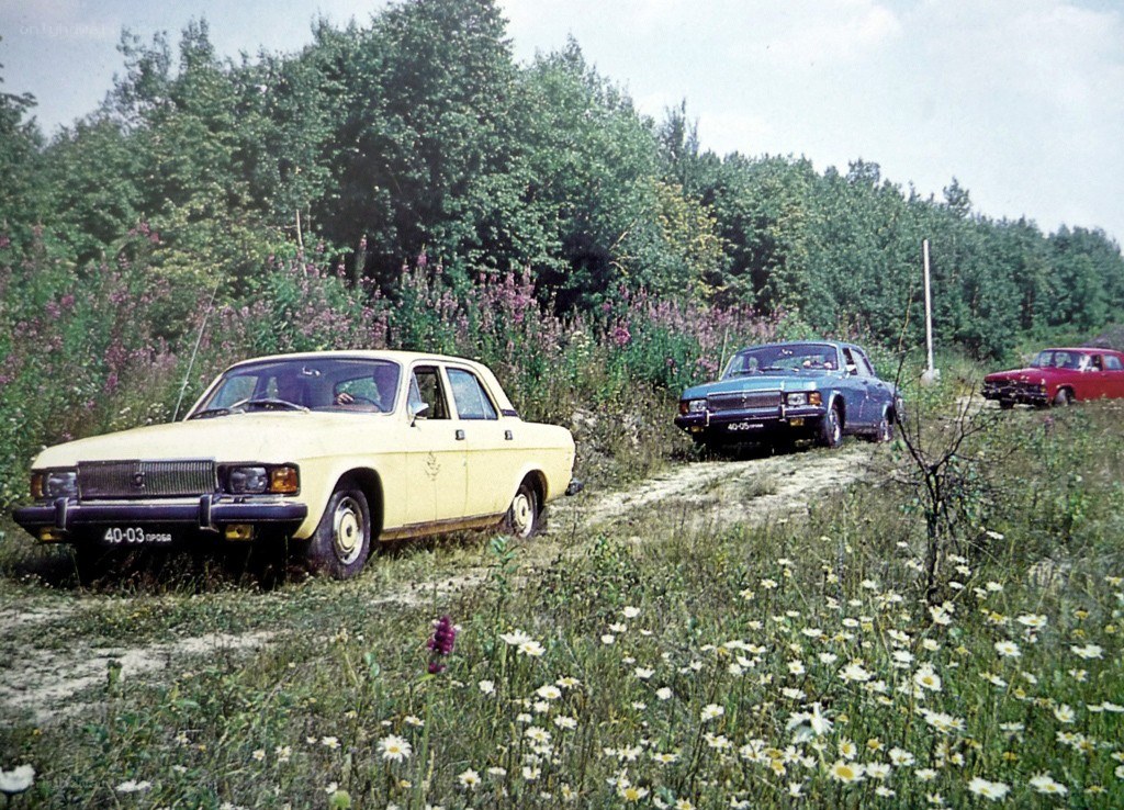Cars in a field