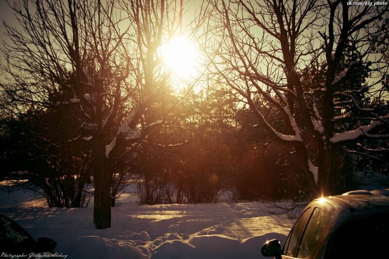 Cars in Snowy Forest