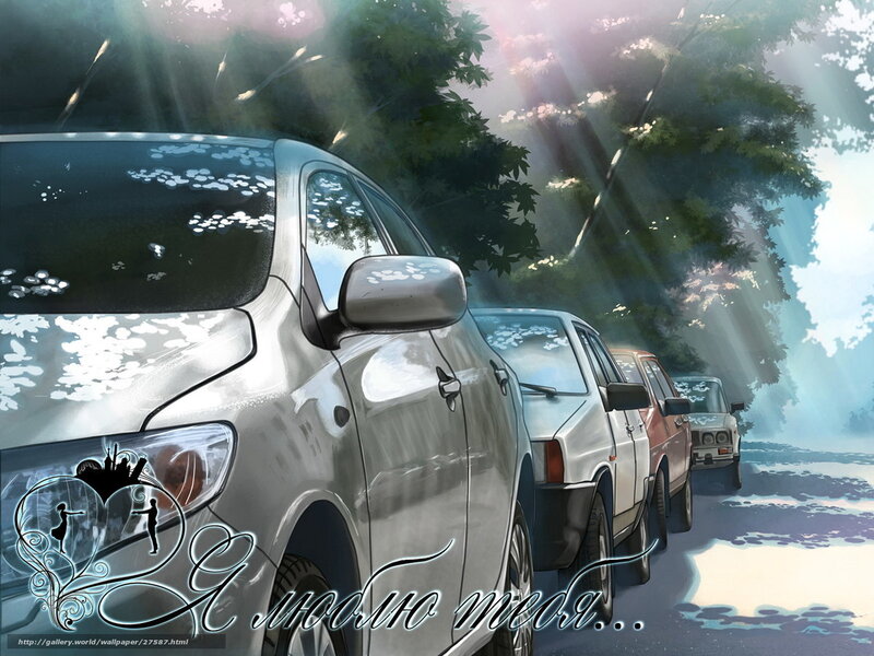 Cars in Sunlight