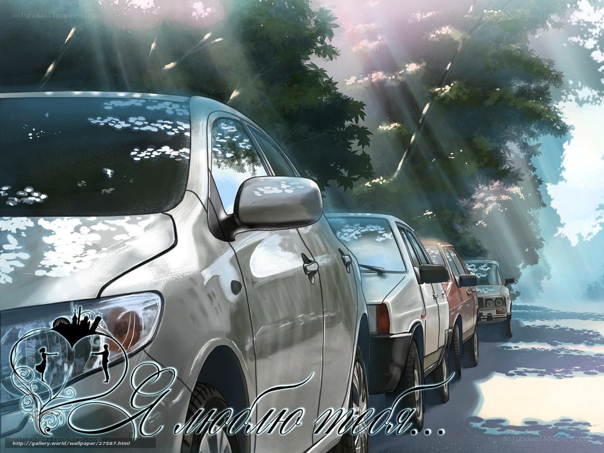 Cars in Sunlight