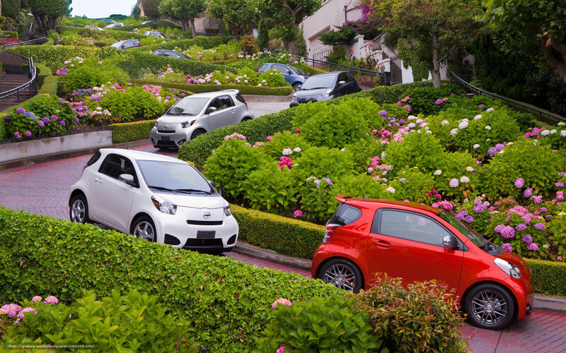 Cars on a flower-lined hill