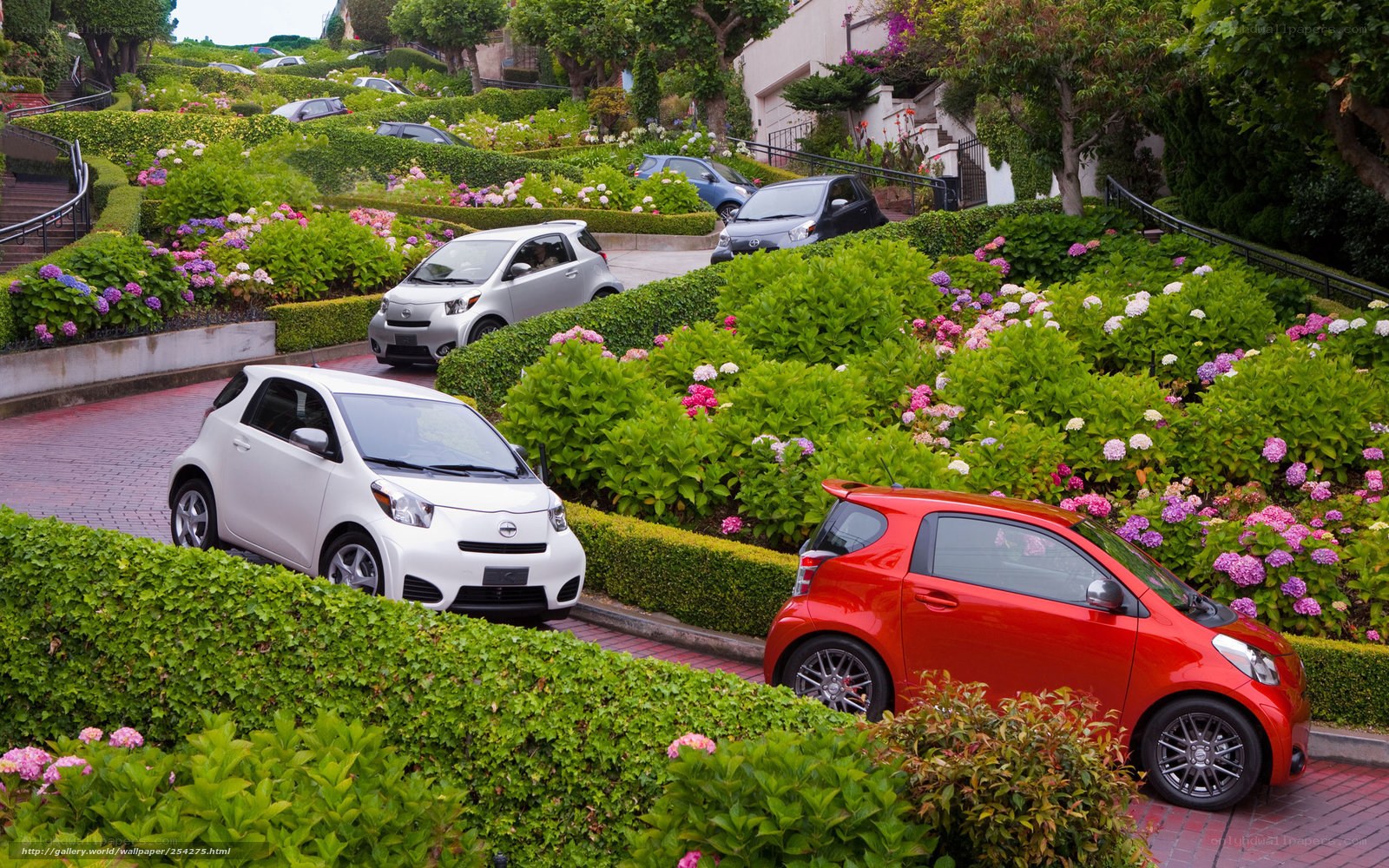 Cars on a flower-lined hill
