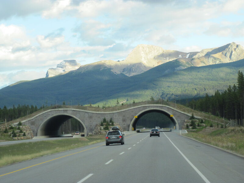 Cars on Highway — Green