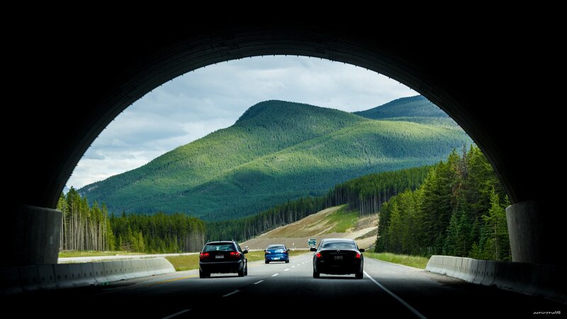 Cars on Mountain Highway — Green, Serene