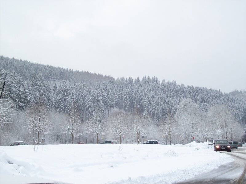 Cars on Snowy Road