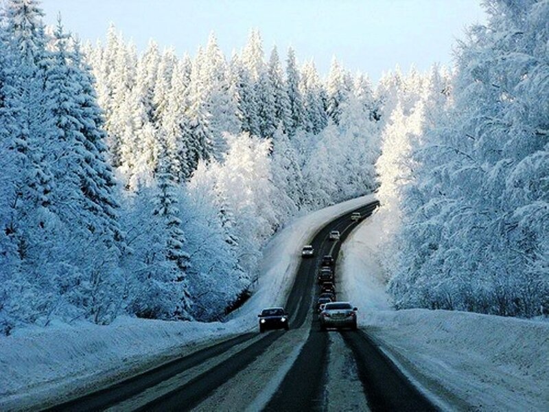 Cars on Snowy Road — White, Cold
