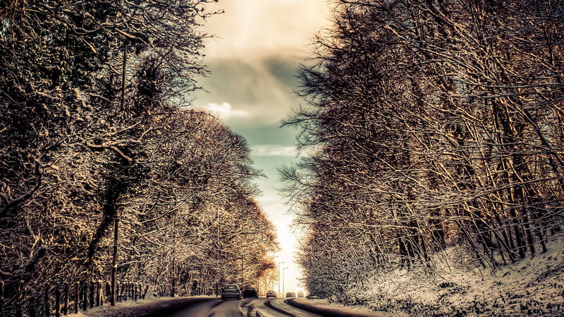 Cars on Snowy Road — White
