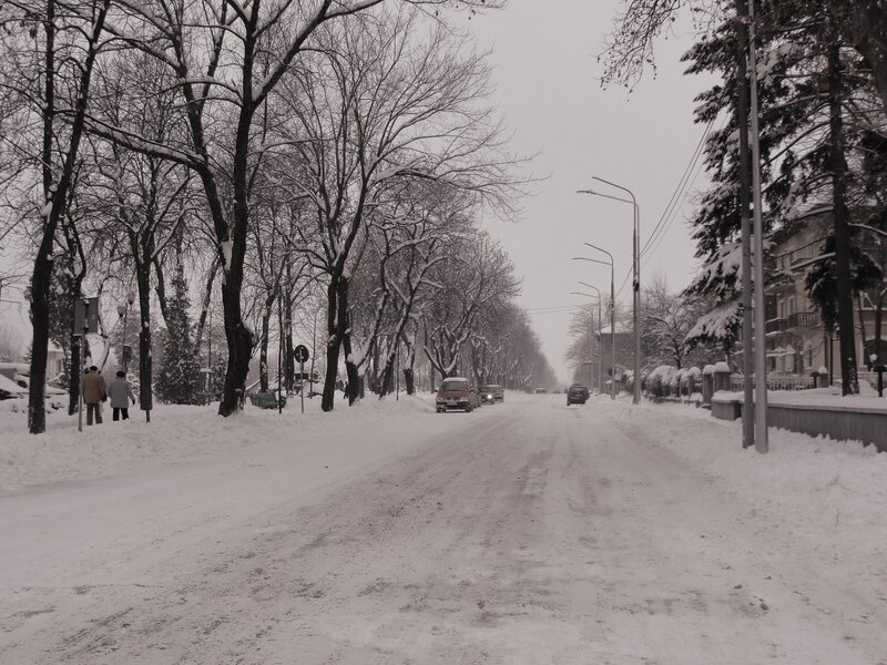 Cars on Snowy Street