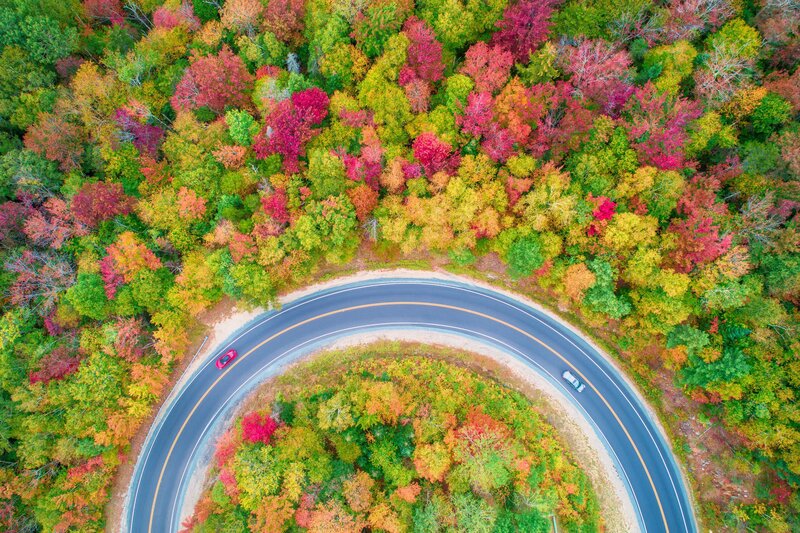 Cars on Winding Road — Green