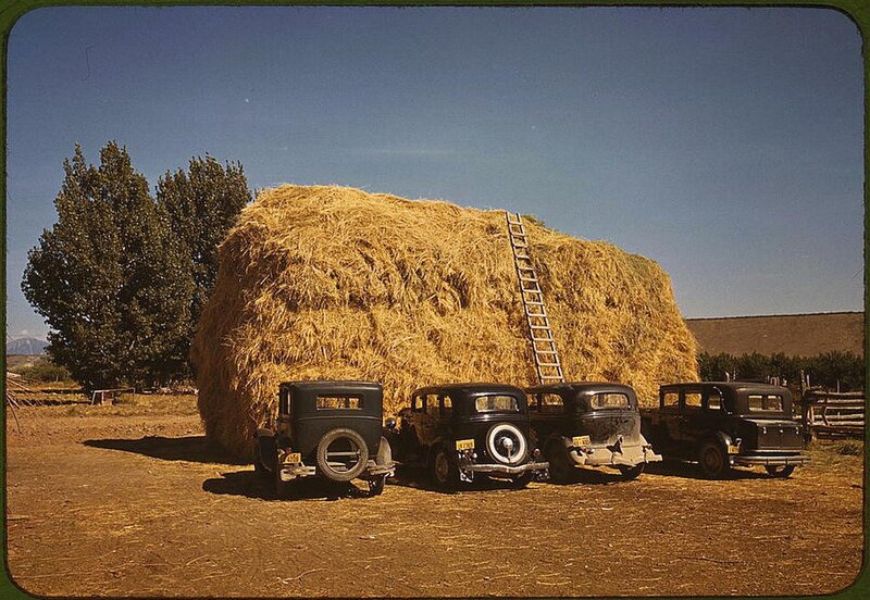 Cars parked by hay bale