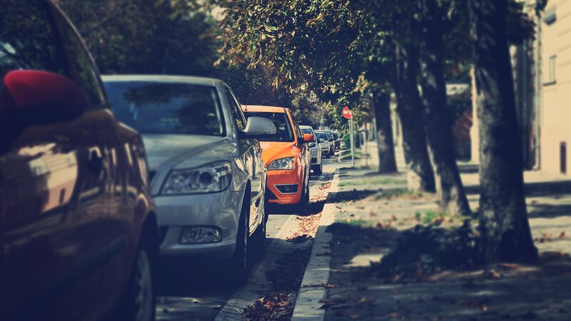 cars parked on a tree-lined street