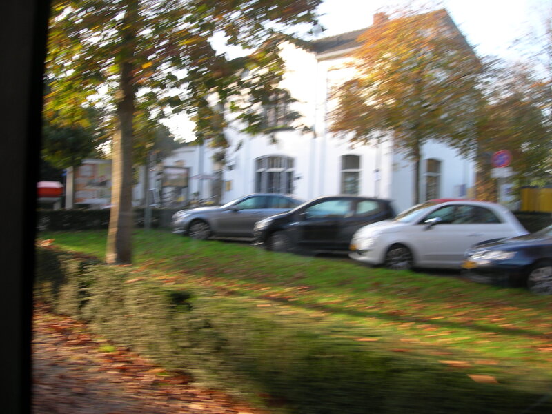 Cars Parked on Grass