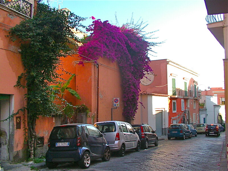Cars Parked on Street — Orange
