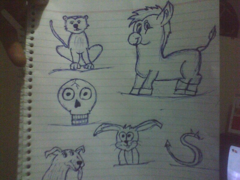 Cartoon Animal Drawings