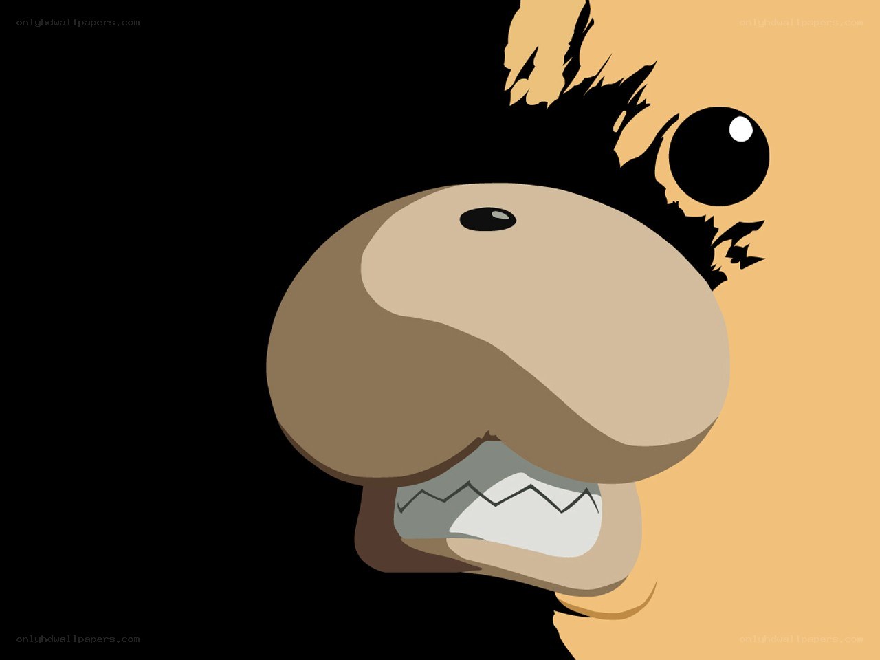 cartoon animal face close-up