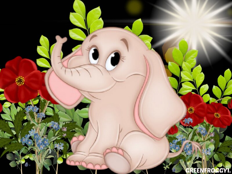 Cartoon Baby Elephant
