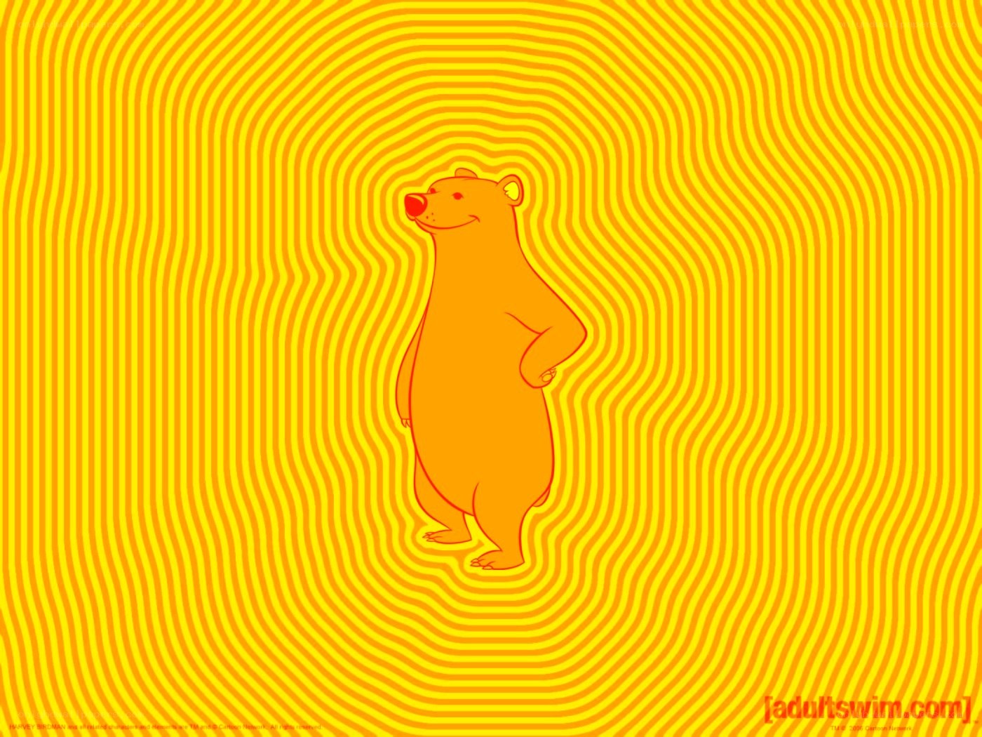 Cartoon bear on yellow background