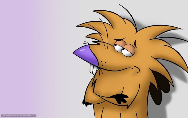cartoon beaver character