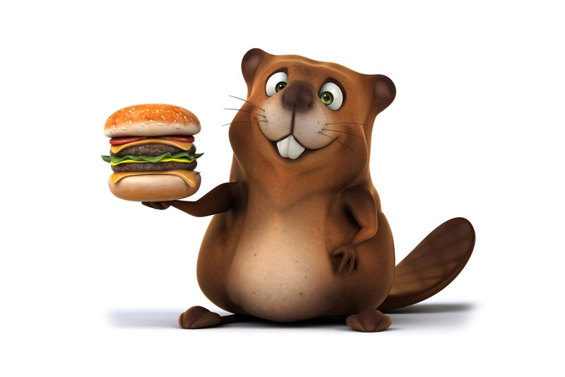 Cartoon Beaver Holding Burger