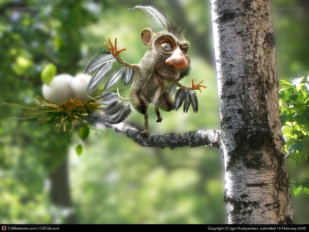 cartoon bird on a branch