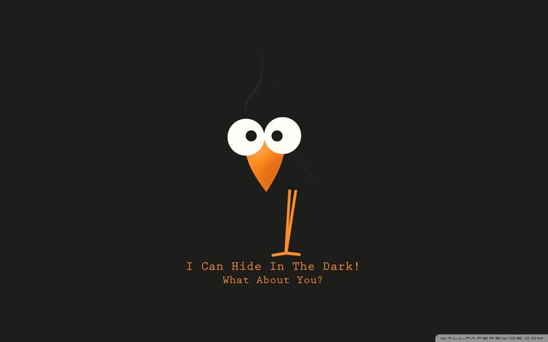 Cartoon Bird on Dark Background