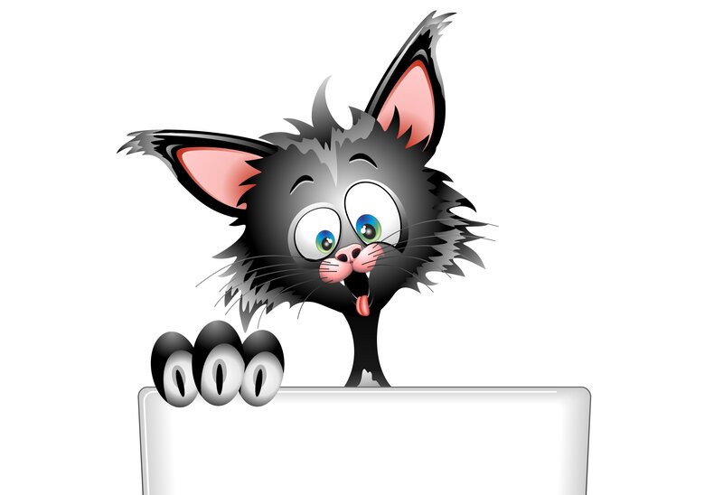 Cartoon Black Cat