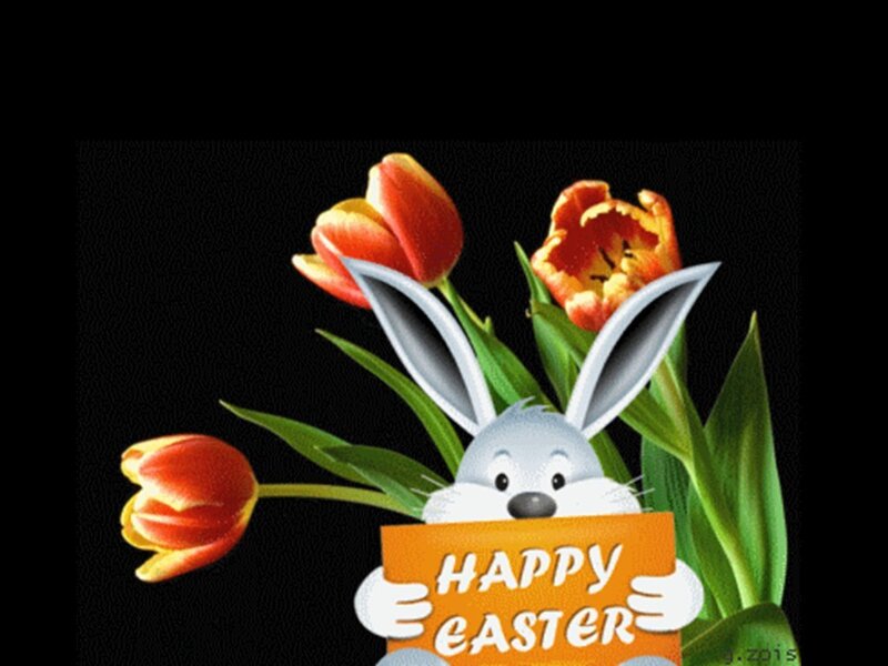 Cartoon Bunny Holding Sign