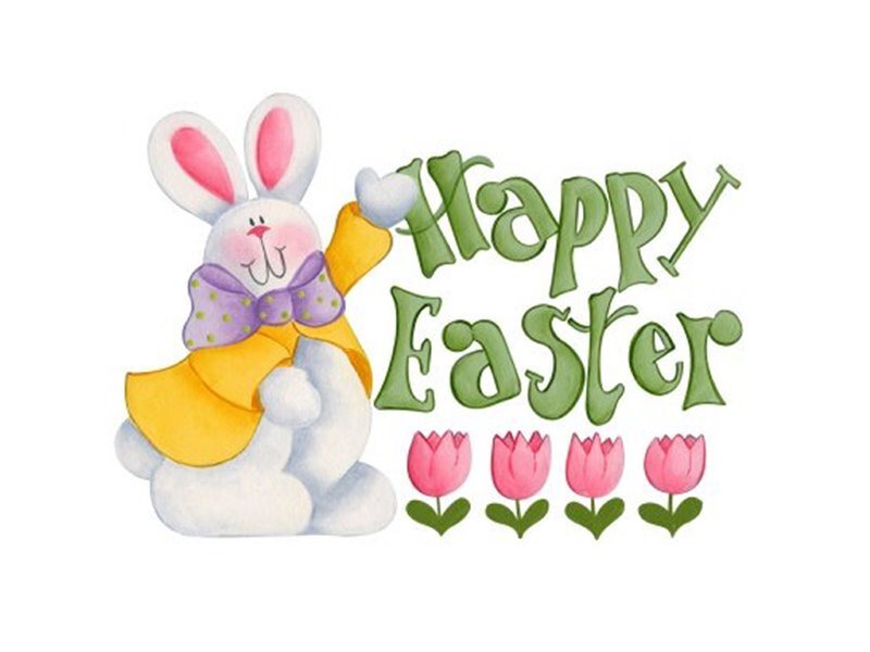 Cartoon Bunny Rabbit
