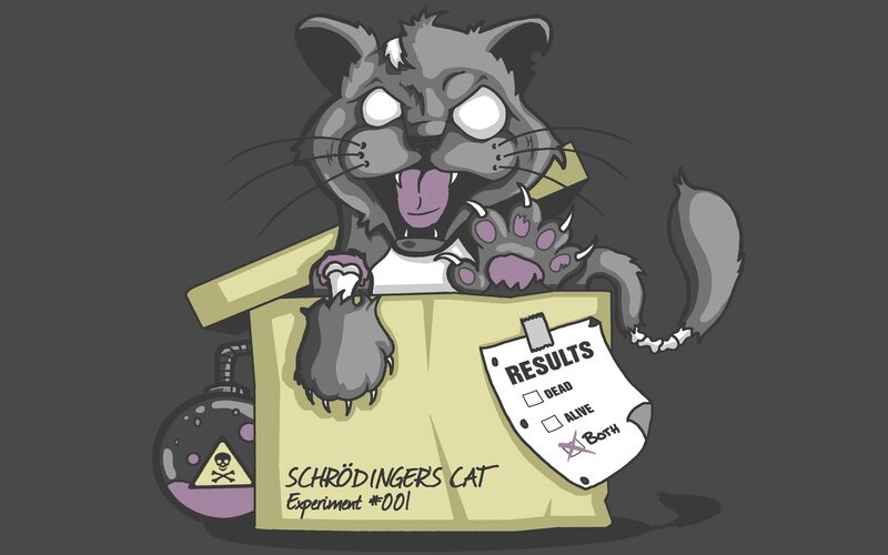 Cartoon Cat in Box — Gray, Dark Humor