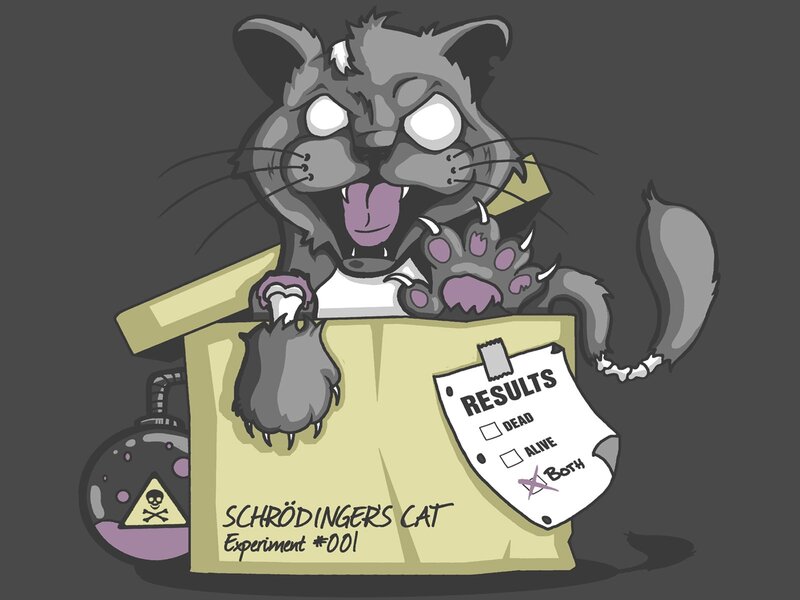 Cartoon Cat in Box — Gray