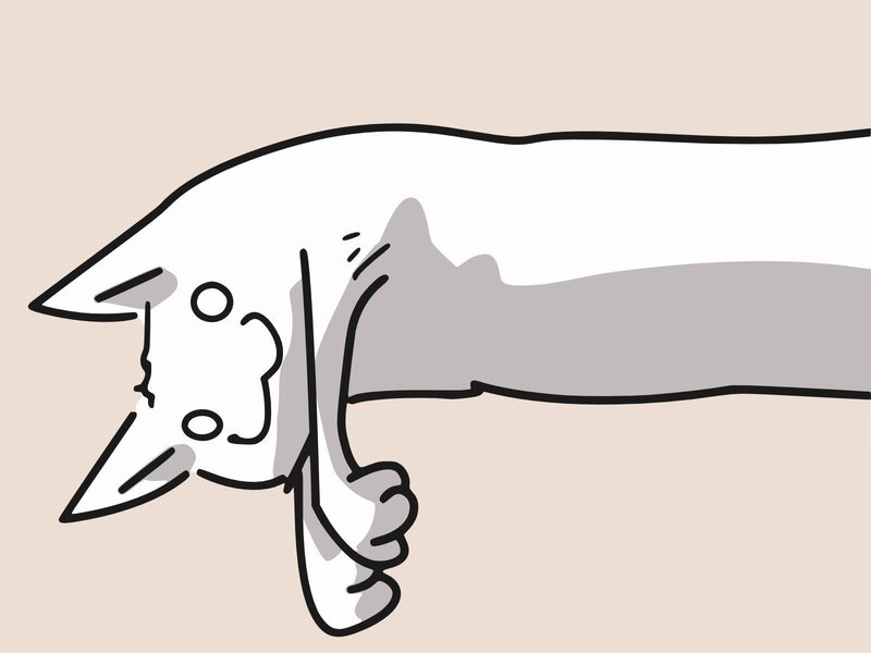 cartoon cat lying down
