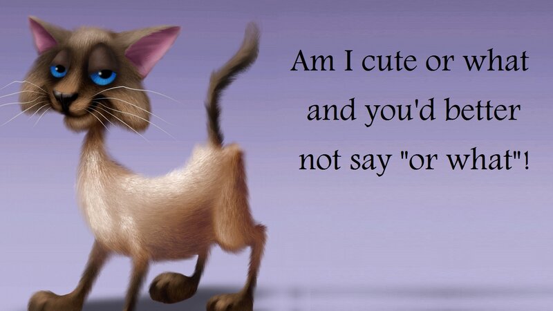 Cartoon Cat