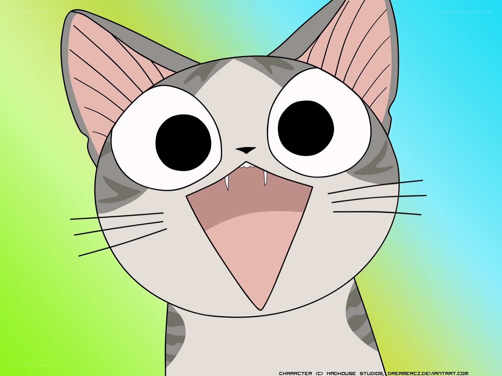 cartoon cat with big eyes